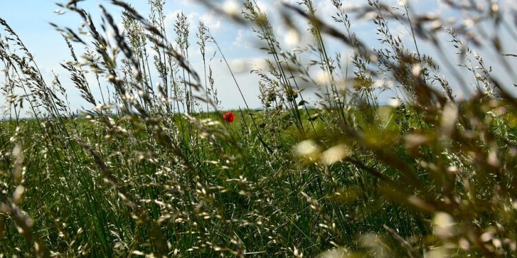 Awakening the Soul: A Journey of Transformation and Self-Discovery