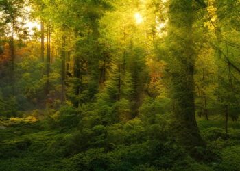 Discovering Inner Peace: The Power of Spiritual Meditation