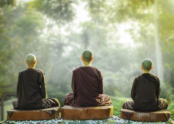 Finding Serenity: Cultivating a Peaceful Mind in a Chaotic World